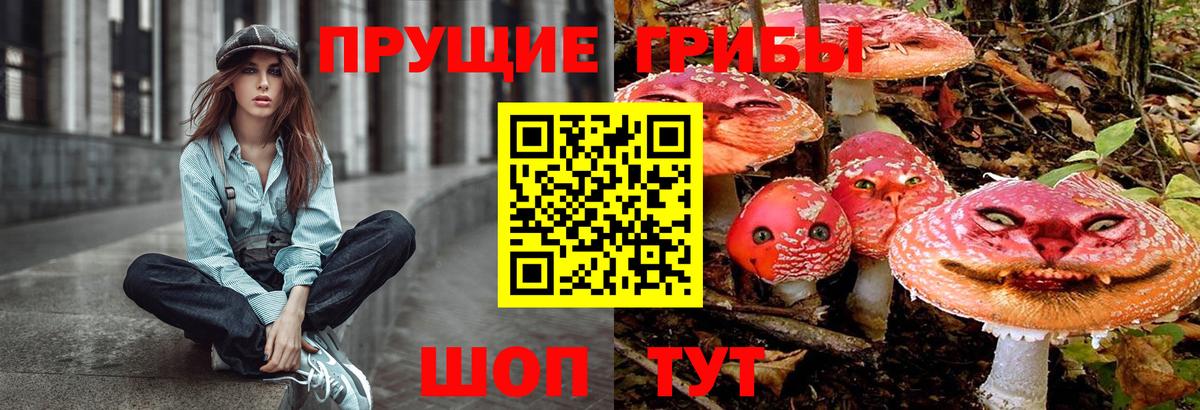 Ирбит  Галлюциногенные грибы Magic Shrooms  Вход с VPN  Псилоцибиновые грибы мицелий 